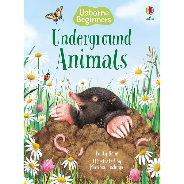 Usborne Beginners Nature 10 Books Box Set Collection (Reptiles